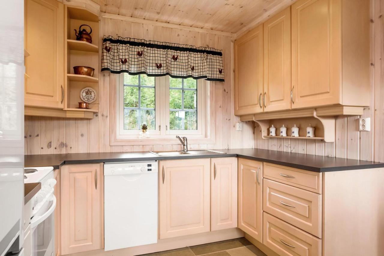 Reveenka - Cabin In Trysil With Jacuzzi For Rent Ngoại thất bức ảnh
