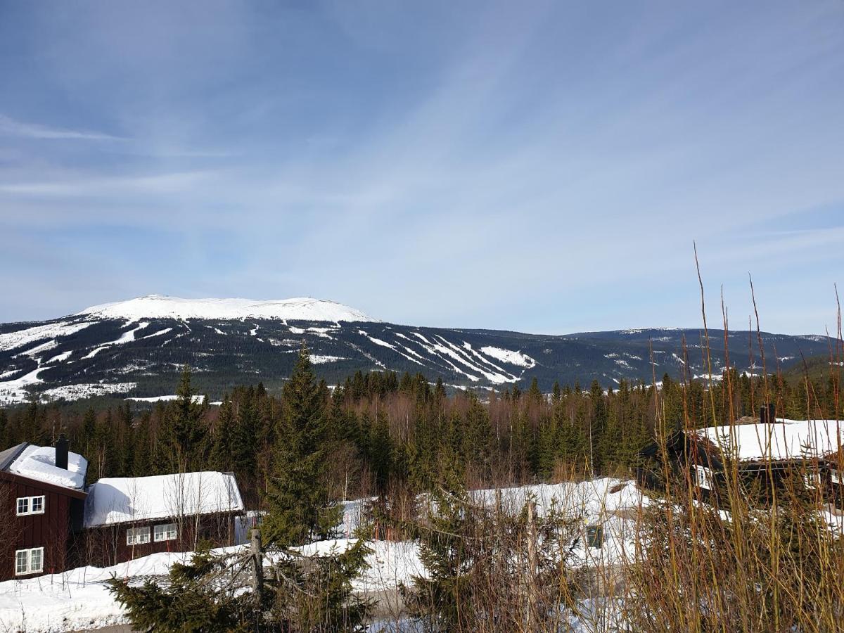 Reveenka - Cabin In Trysil With Jacuzzi For Rent Ngoại thất bức ảnh