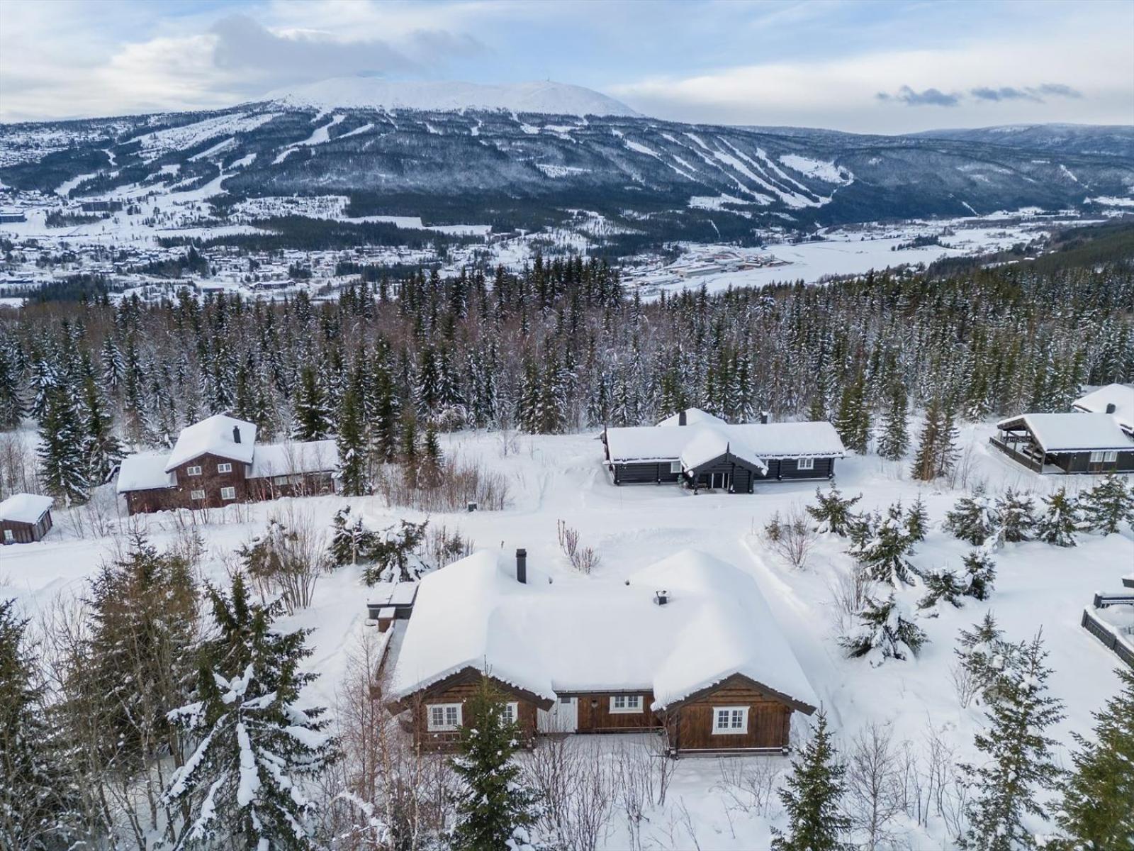 Reveenka - Cabin In Trysil With Jacuzzi For Rent Ngoại thất bức ảnh
